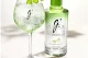 gin gvine