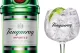gin premium tanqueray